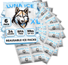 Luna Ice Packs