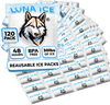 Luna Ice Packs